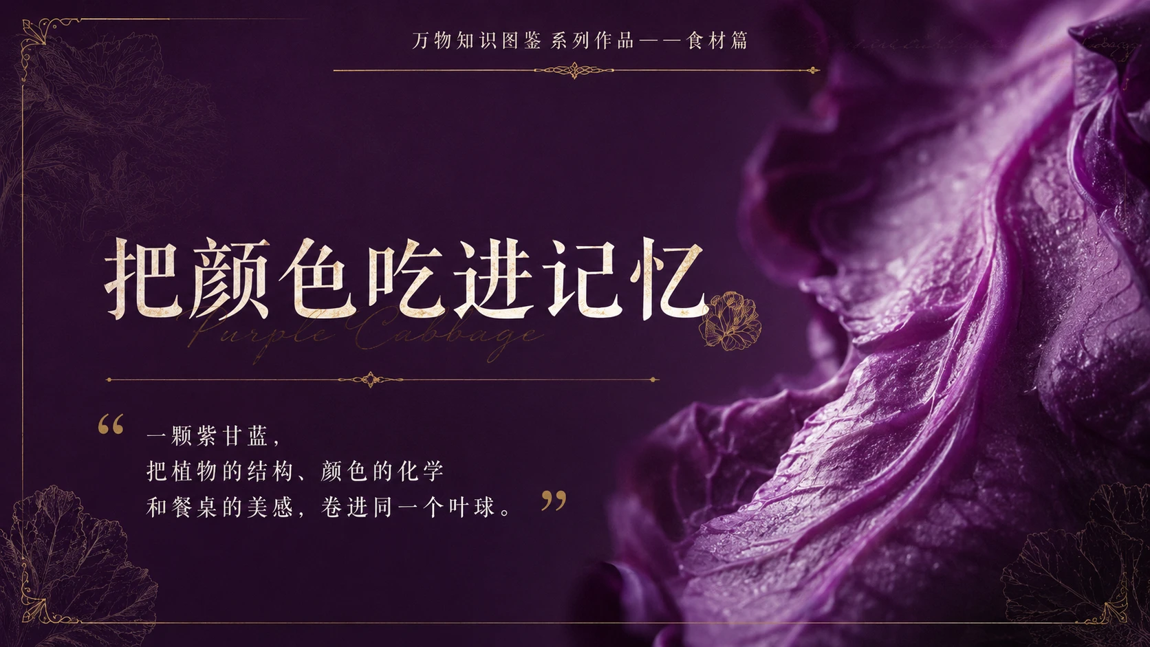 万物知识图鉴系列作品PPT——紫甘蓝 - 预览图10
