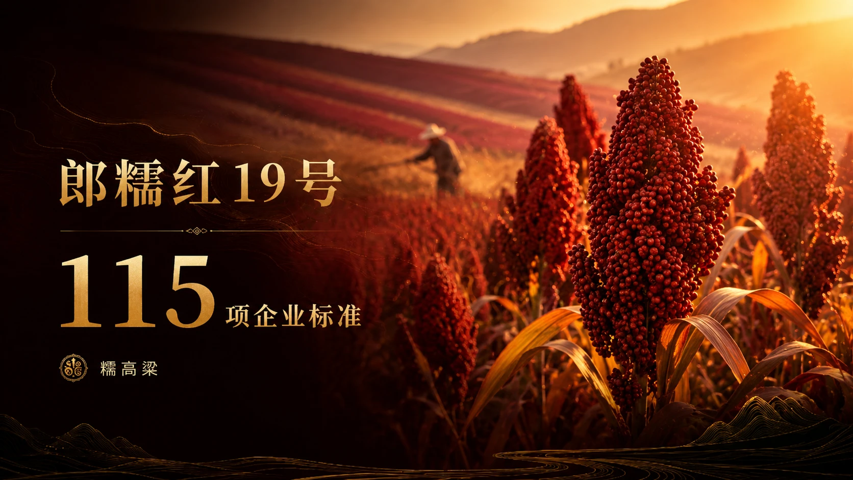 一粒高粱到一瓶酒的故事 - 预览图2