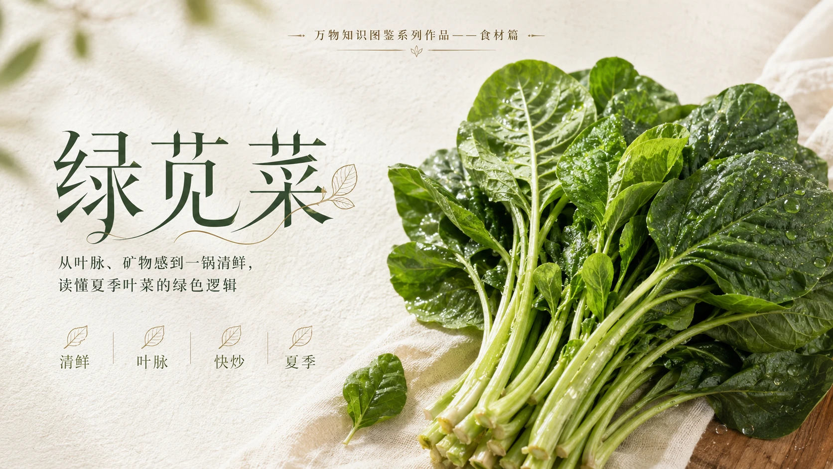 万物知识图鉴系列作品PPT——绿苋菜 - 预览图1