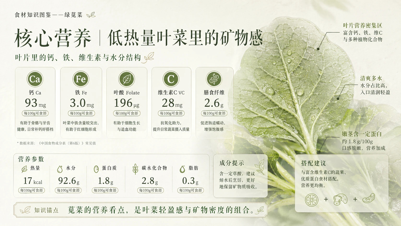 万物知识图鉴系列作品PPT——绿苋菜 - 预览图4