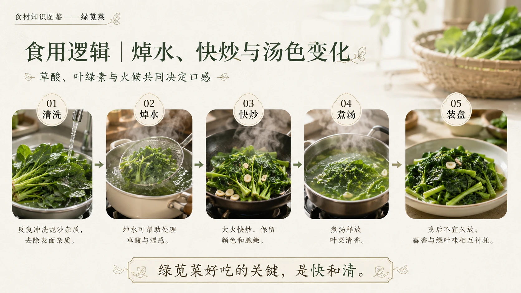 万物知识图鉴系列作品PPT——绿苋菜 - 预览图6