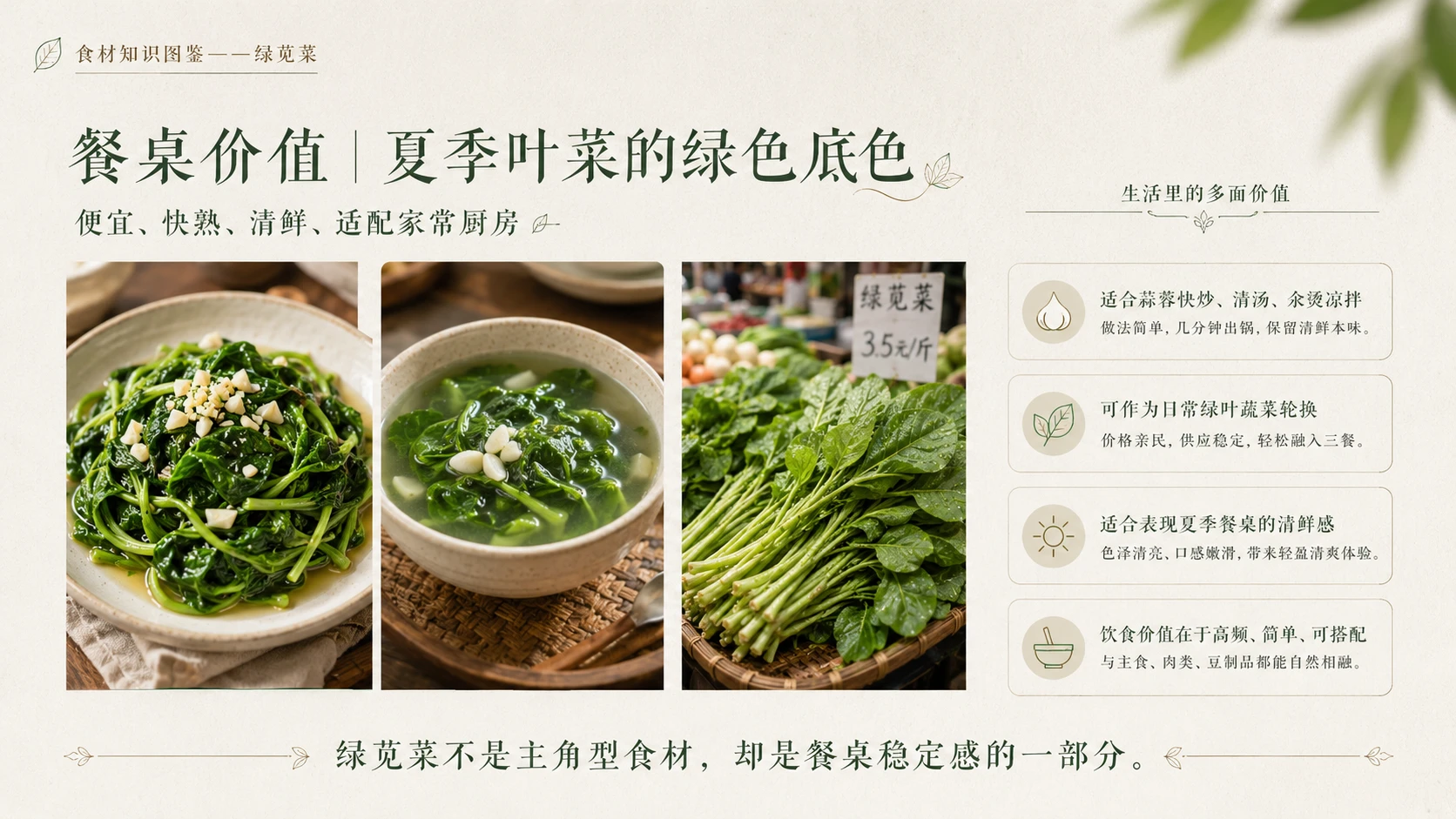 万物知识图鉴系列作品PPT——绿苋菜 - 预览图9