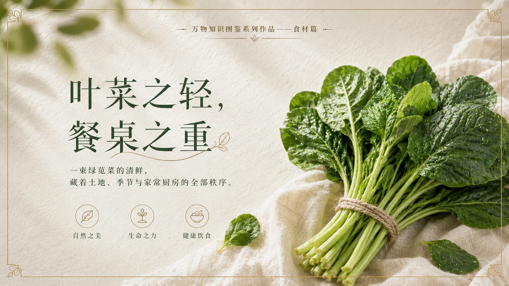 万物知识图鉴系列作品PPT——绿苋菜 - 预览图10