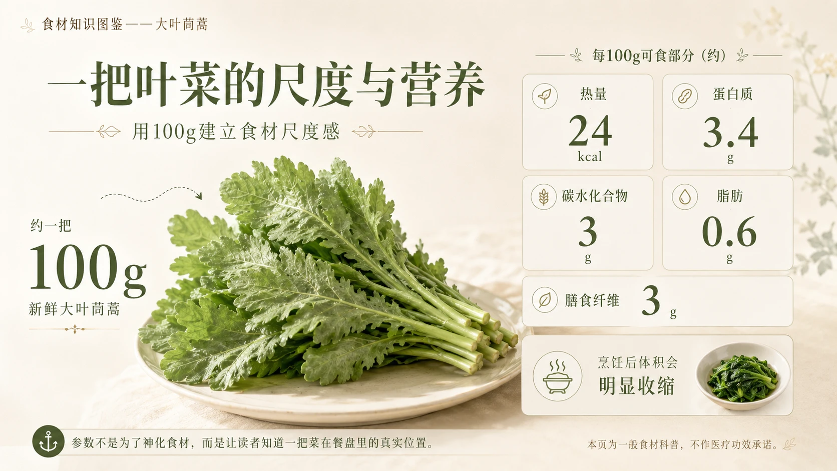 万物知识图鉴系列作品PPT——大叶茼蒿 - 预览图4