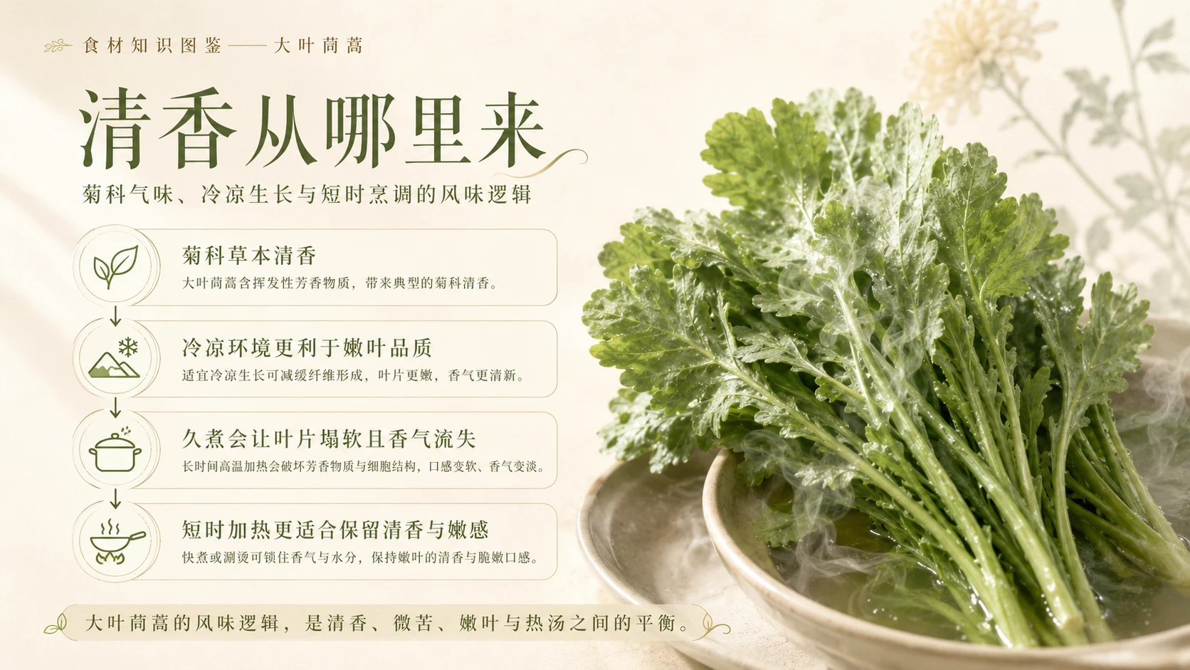 万物知识图鉴系列作品PPT——大叶茼蒿 - 预览图6