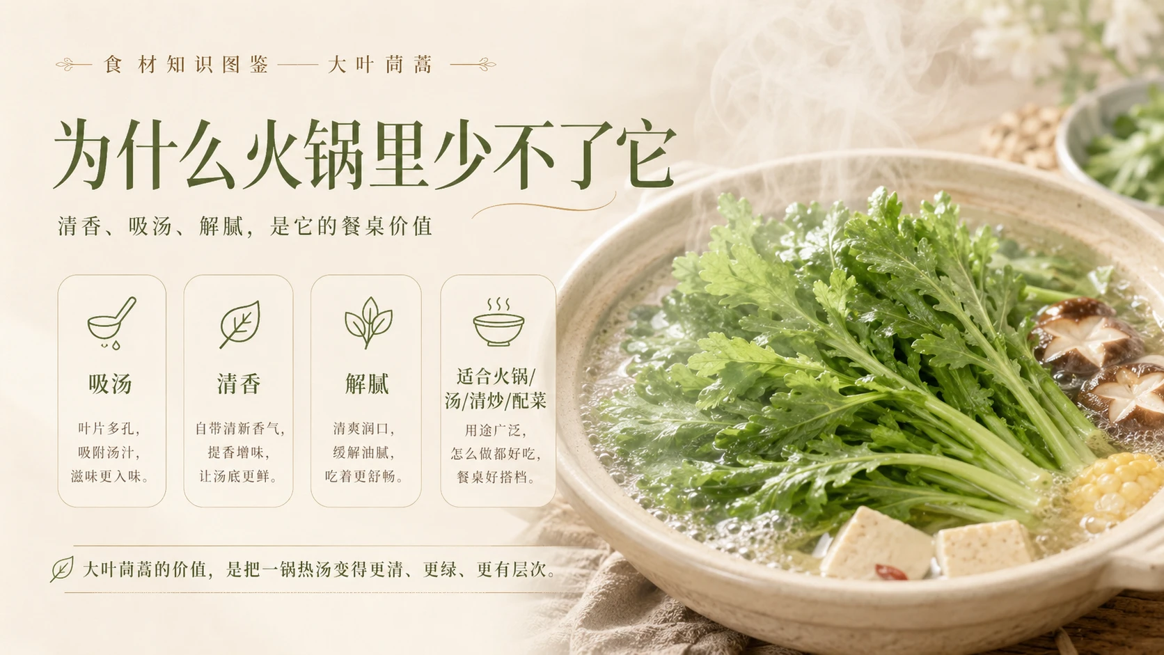 万物知识图鉴系列作品PPT——大叶茼蒿 - 预览图9