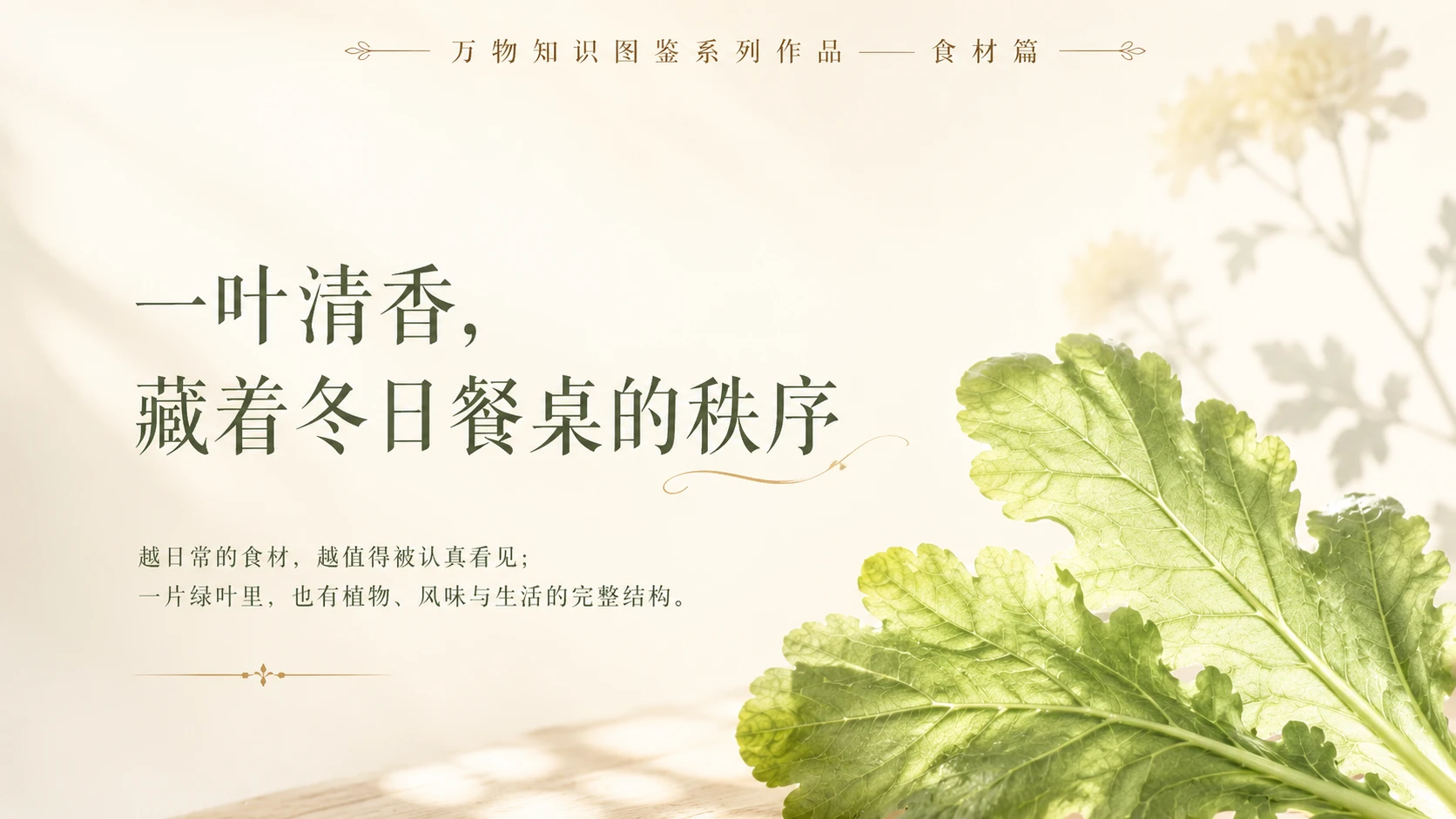 万物知识图鉴系列作品PPT——大叶茼蒿 - 预览图10
