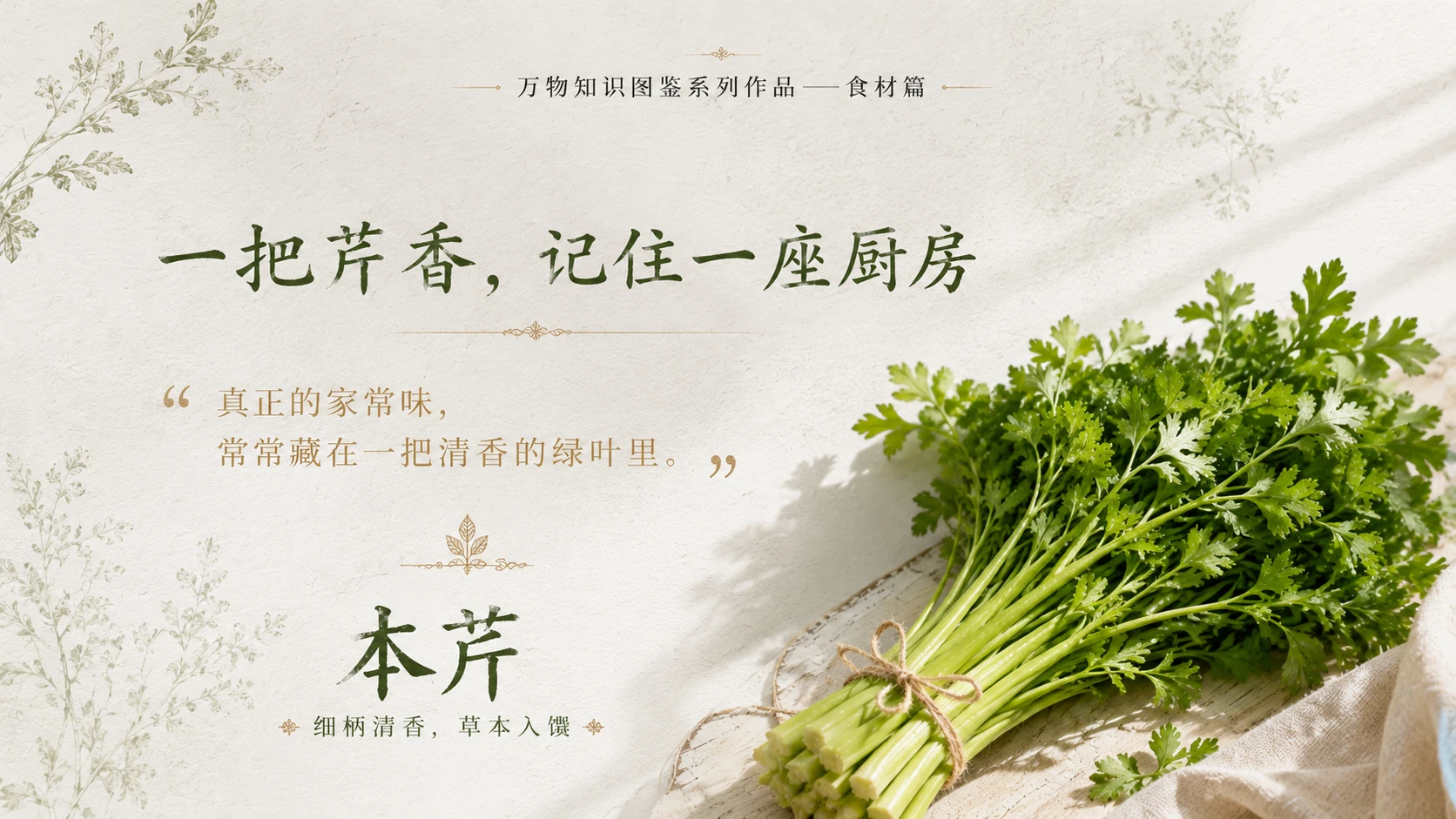 万物知识图鉴系列作品PPT——本芹 - 预览图10
