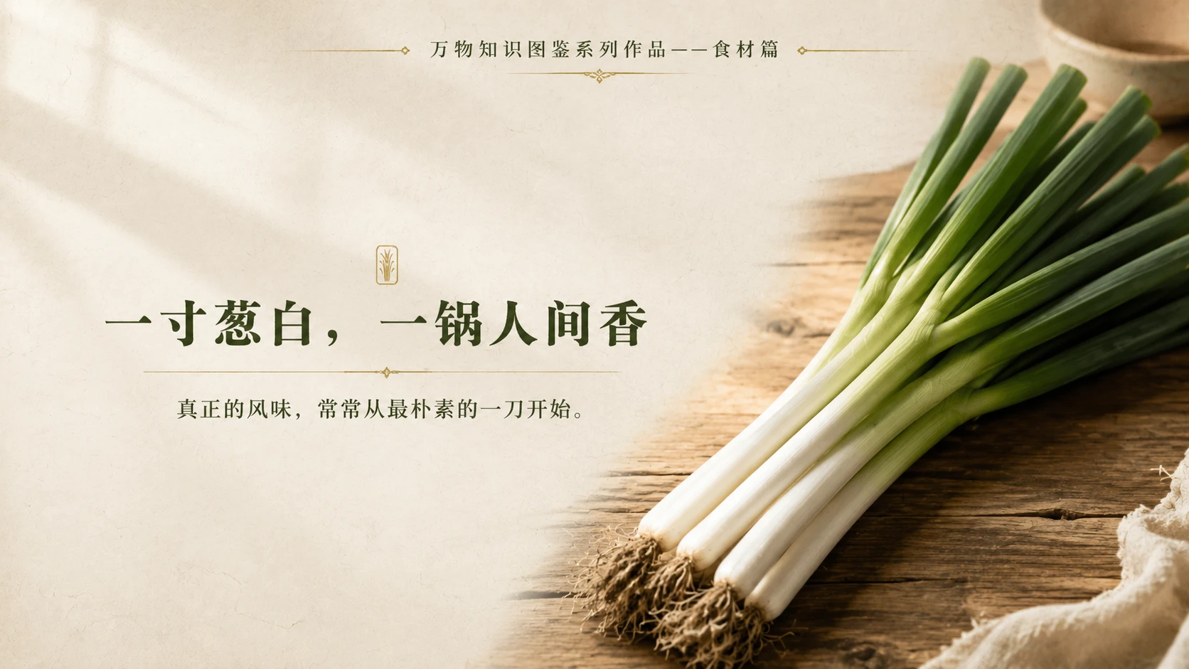 万物知识图鉴系列作品PPT——大葱 - 预览图10