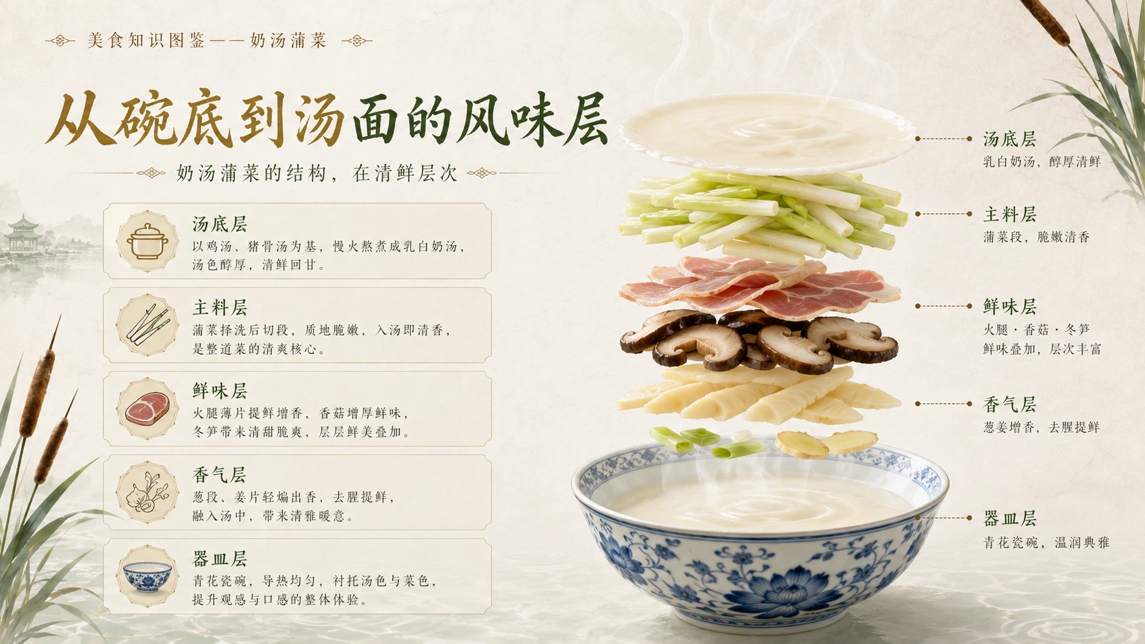 万物知识图鉴系列作品PPT——奶汤蒲菜 - 预览图5