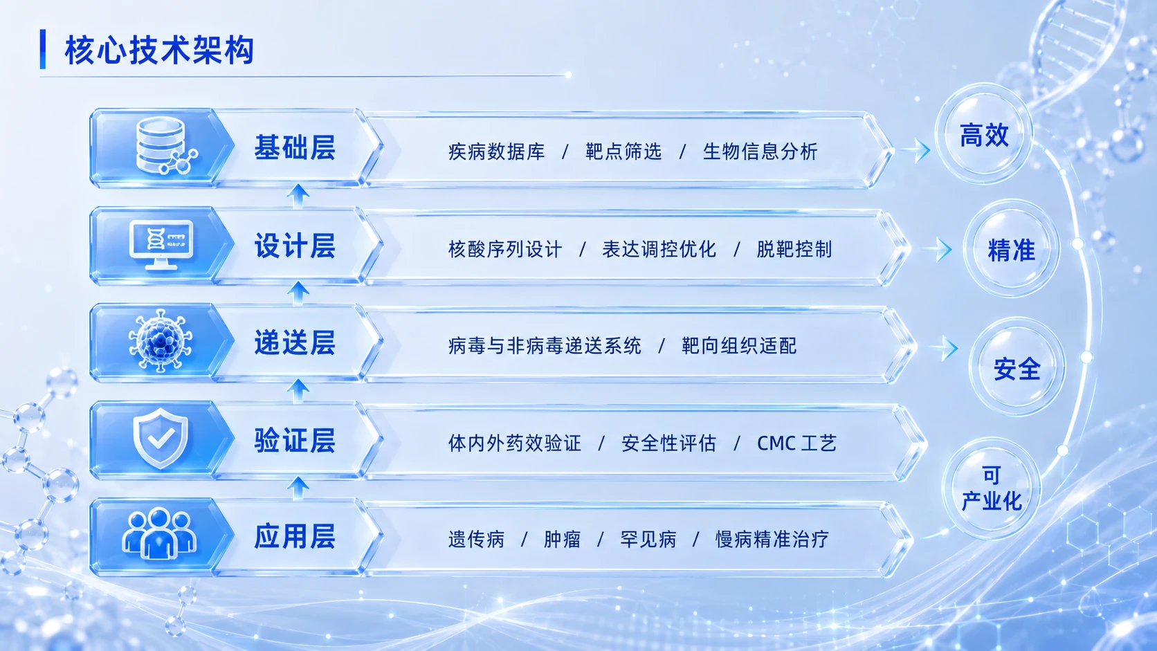 中国创新创业大赛路演PPT——面向重大疾病精准治疗的基因药物研发与产业化平台 - 预览图8